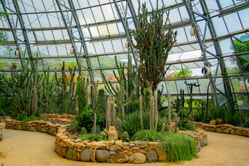 A pavilion with cacti.

The flora of the desert. Domed glass pavilion. Vinpearl Amusement Island...