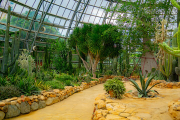 A pavilion with cacti.

The flora of the desert. Domed glass pavilion. Vinpearl Amusement Island...