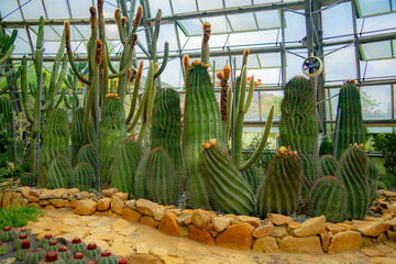 A pavilion with cacti.

The flora of the desert. Domed glass pavilion. Vinpearl Amusement Island...