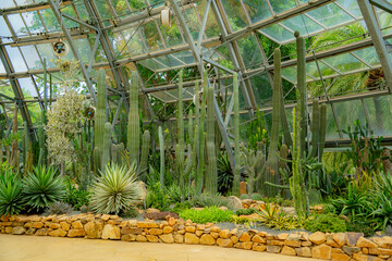 A pavilion with cacti.

The flora of the desert. Domed glass pavilion. Vinpearl Amusement Island...