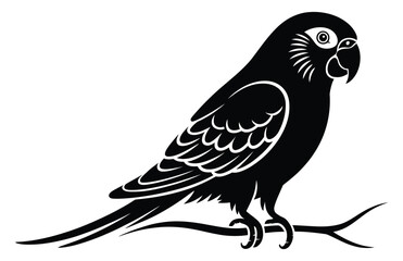 Fototapeta premium Parakeet Silhouette Vector – Elegant Black Bird Illustration