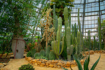 A pavilion with cacti.

The flora of the desert. Domed glass pavilion. Vinpearl Amusement Island...