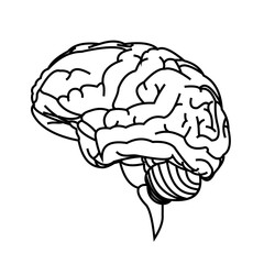 Beautiful human brain outline illustration, perfect for neuroscience, anatomy, and medical designs. Ideal for educational materials and health-related content