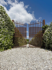 Wrought iron gate between flowering hedges of jasmine under a clear sky