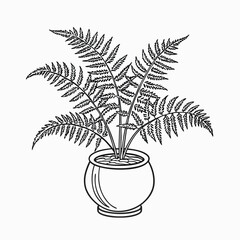  Delicate Fern Tree in Pot.eps
