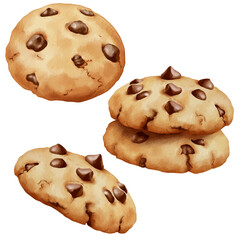 Set of watercolor chocolate chips cookies vector clip art. Watercolor painting style of cookies illustration for baking day and event isolated on white background.