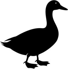  black duck icon on white background, simple silhouette