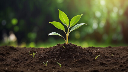 The Concept of Business Growth and Profit Development, with a Digital Interface Representing Financial Success and Strategy