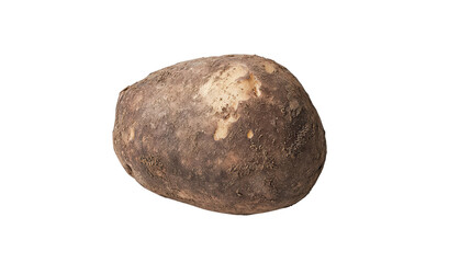 Fototapeta premium Brown russet potato with rough skin and natural soil marks, Transparent background, PNG file