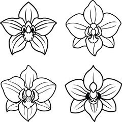 set of flowers vector