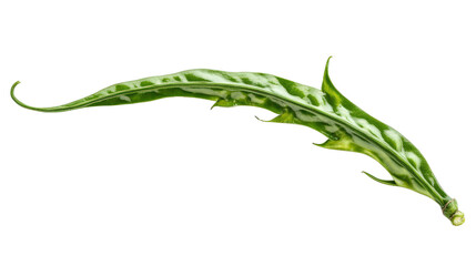 Fototapeta premium Chinese chives with flat green leaves and strong garlic scent, Transparent background, PNG file