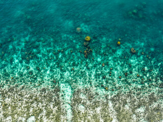 Vibrant Coral Reef from Above: Overhead View in Clear Tropical Waters