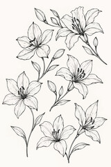 Vector tropical orchid flowers. Isolated illustration element
