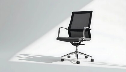 Professional Office Furniture - Stylish and Adjustable Chair