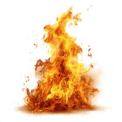 Intense, vibrant flames rising high against a white background.  A spectacular display of fire