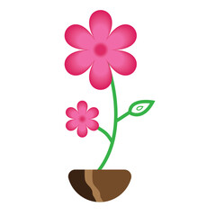 Beautiful potted orchid plant with vibrant purple flowers displayed against a simple white background Cute purple flower in pot vector illustration design
