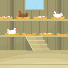 Interior of a chicken coop with hens, shelves, ladder and window. Hatching eggs. Farm product.