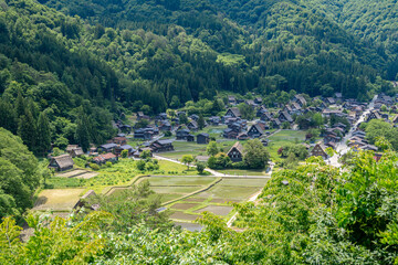 Traditional thatched houses of Shirakawa-go village in rural Japan. Panoramic view