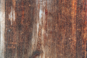 Close-up of old wood texture with visible grain lines