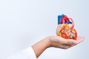 At the hospital, the cardiologist provided a thorough consultation to the patient, monitoring the heartbeat, prescribing medicine, and planning treatment for coronary blood issues.