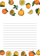 Citrus and Orange Blossom Vintage hand drawing fruit isolated on white background. Tangerine. Organic fruit. Cartoon style. Vector illustration for any design.