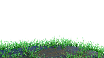 green grass field background 3D rendering