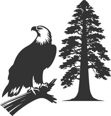 Forest tree with eagle wildlife bird vector drawing silhouette