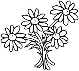 Chamomile Flowers Vector Outline Line Art Drawing