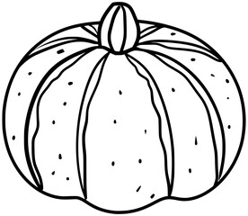 Kabocha Squash Vector Outline Line Art Drawing