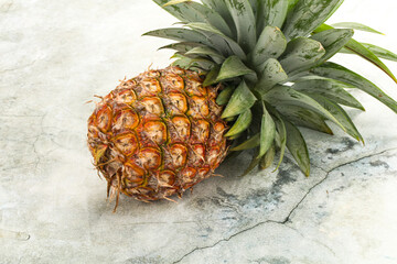 Tropical sweet exotic Pineapple fruit