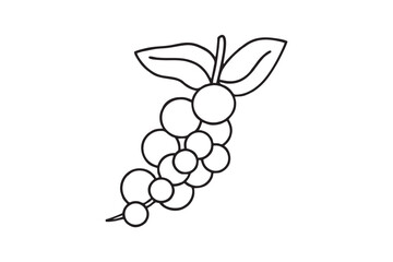 Blueberry outline