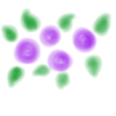purple rose 