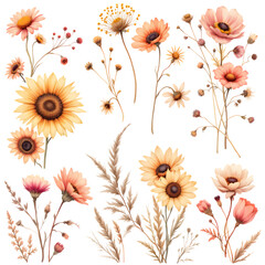 A collection of watercolor flowers including sunflowers and peach colored blooms on a black background