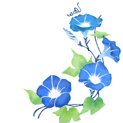水彩画タッチの朝顔イラスト円形