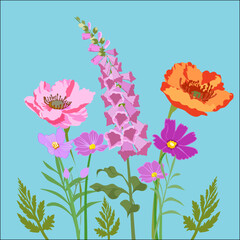 flowers and butterflies