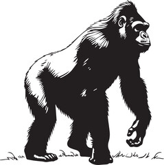 Obraz premium gorilla into white background 100% fully editable file 