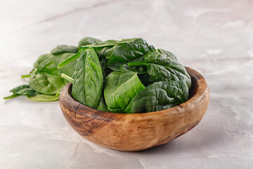 Raw green baby spinach plant