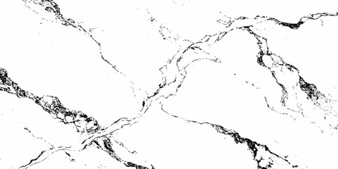 black veins creating a marble like pattern and texture design style creating a marble texture modern design aesthetic white background.