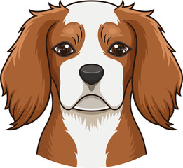 Cavalier King Charles Spaniel Face Vector Image