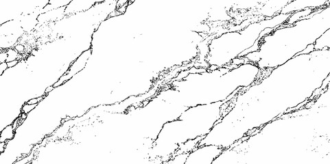 Obraz premium black veins creating a marble like pattern and texture design style creating a marble texture modern design aesthetic white background.