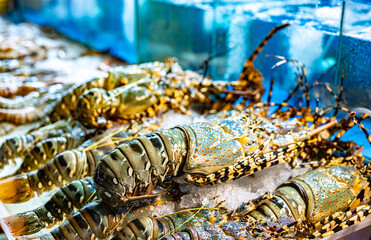Lobsters sold at Bangla Night Market in Patong, Phuket, Thailand