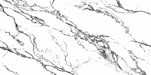  black veins creating a marble like pattern and texture design style creating a marble texture modern design aesthetic  white background.