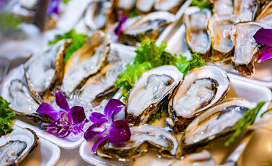 Oysters sold at Banzaan Fresh Market in Patong, Phuket, Thailand