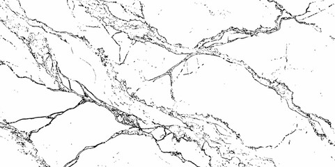  black wavy lines creating a marble like texture and abstract appearance overall white background.