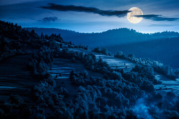 mountainous rural landscape in summer at night. field and forest on the hill in full moon light. alpine countryside in remote region of carpathian mountains