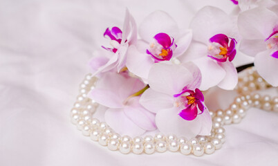 The branch of white orchids on white fabric background
