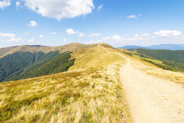 dirt road in carpathian mountains. krasna ridge in summer