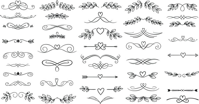 Hand drawn decorative elements in a collection of various dividers and floral design accents for design projects