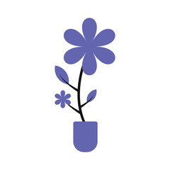 Beautiful potted orchid plant with vibrant purple flowers displayed against a simple white background
