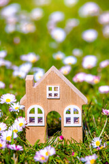 The symbol of the house stands among white daisies
